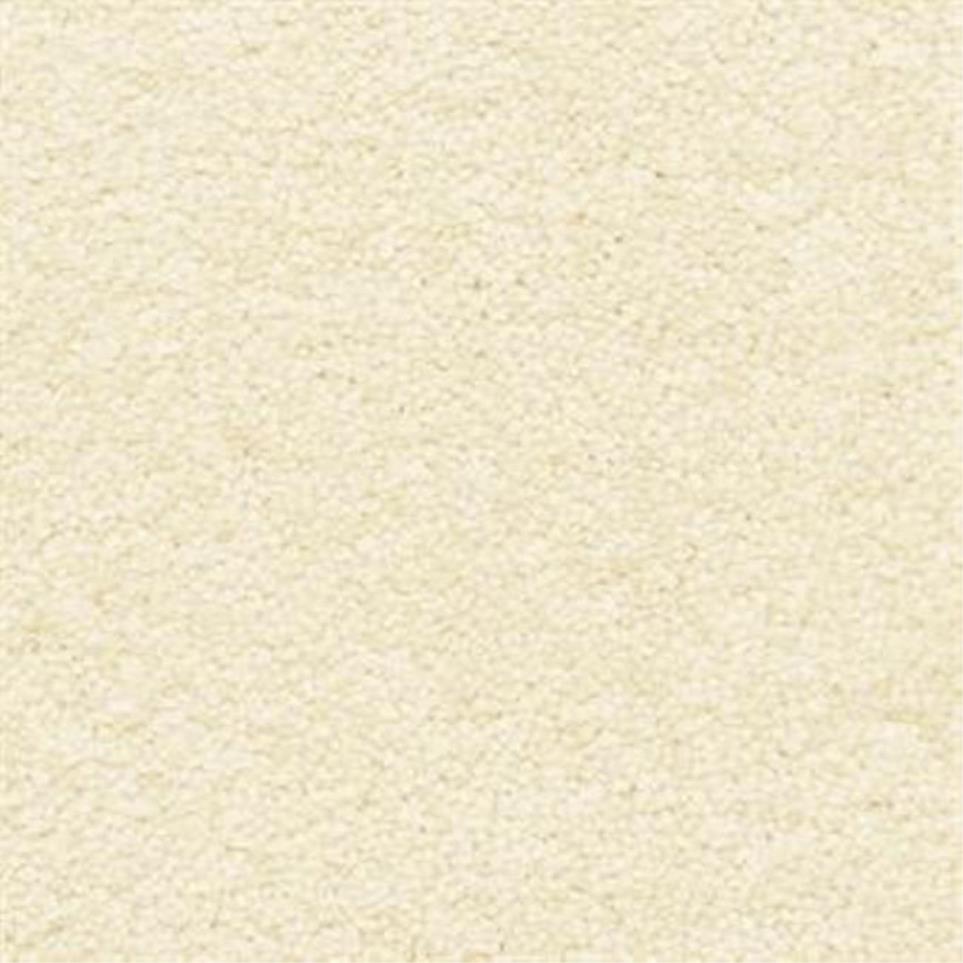 Masland Seed Casual Texture Carpet Casual Texture Seed White Carpet