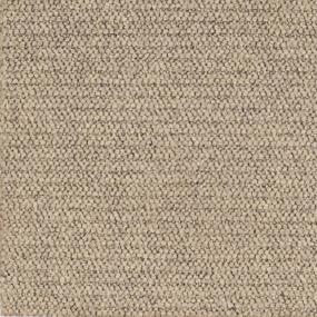 Pattern Cobblestone Beige/Tan Carpet