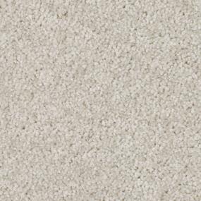 Textured Saxony Cotton Tail Beige/Tan Carpet