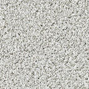 Textured Saxony Sterling Gray Carpet