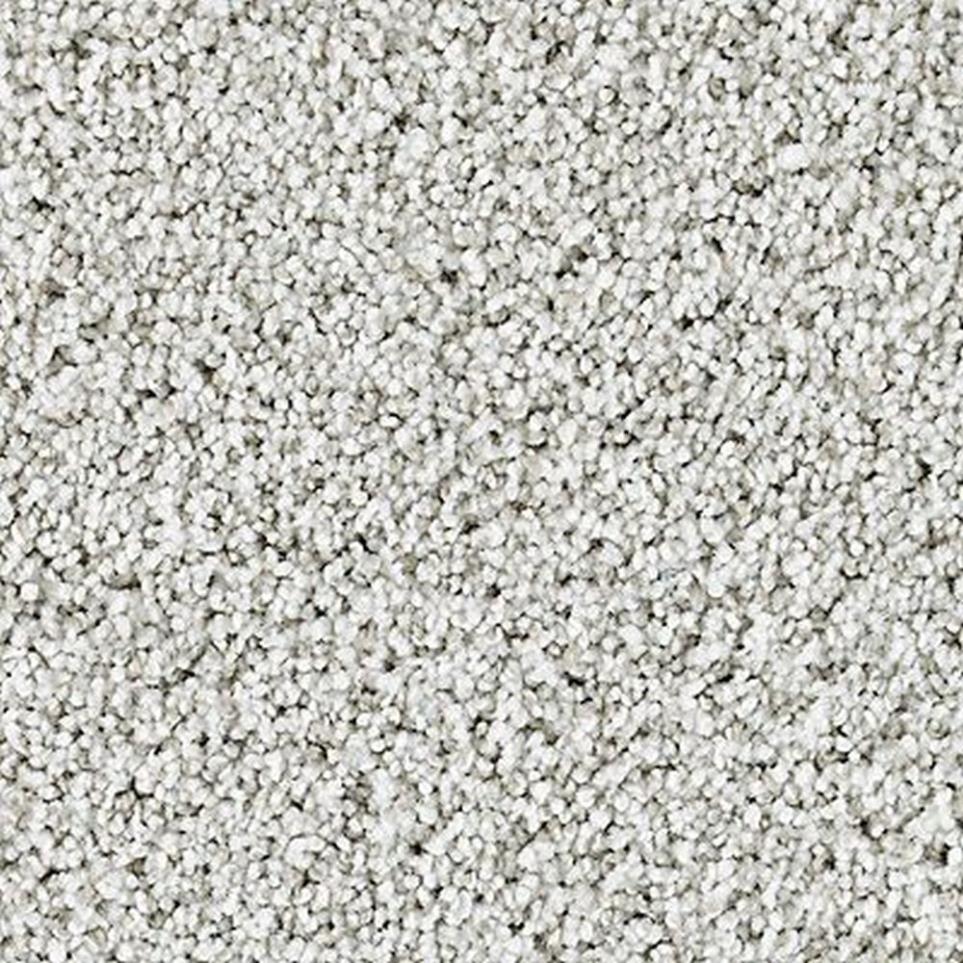 Textured Saxony Sterling Gray Carpet