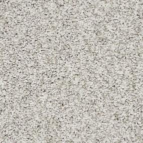 Textured Saxony Stepping Stone Gray Carpet