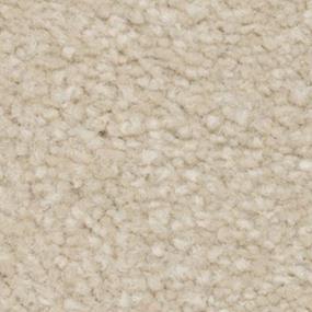 Texture Veranda Beige/Tan Carpet