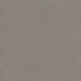 Pattern Serenity Gray Carpet