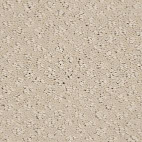 Pattern Chenille Beige/Tan Carpet