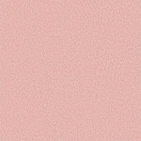 Texture Ballerina Pink Carpet