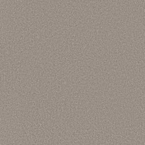 Cut Pile MISTY HARBOR Gray Carpet