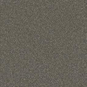 Textured Saxony Brisbane Brown Carpet