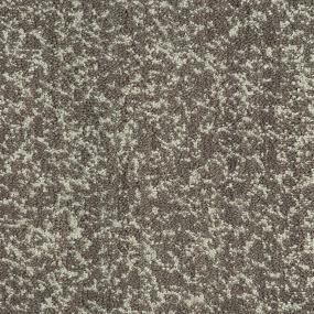 Pattern Mushroom Gray Carpet