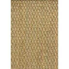 Specialty Natural Beige/Tan Carpet