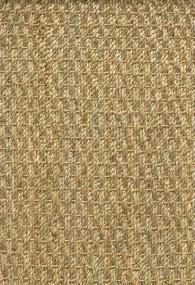 Pattern Natural Beige/Tan Carpet