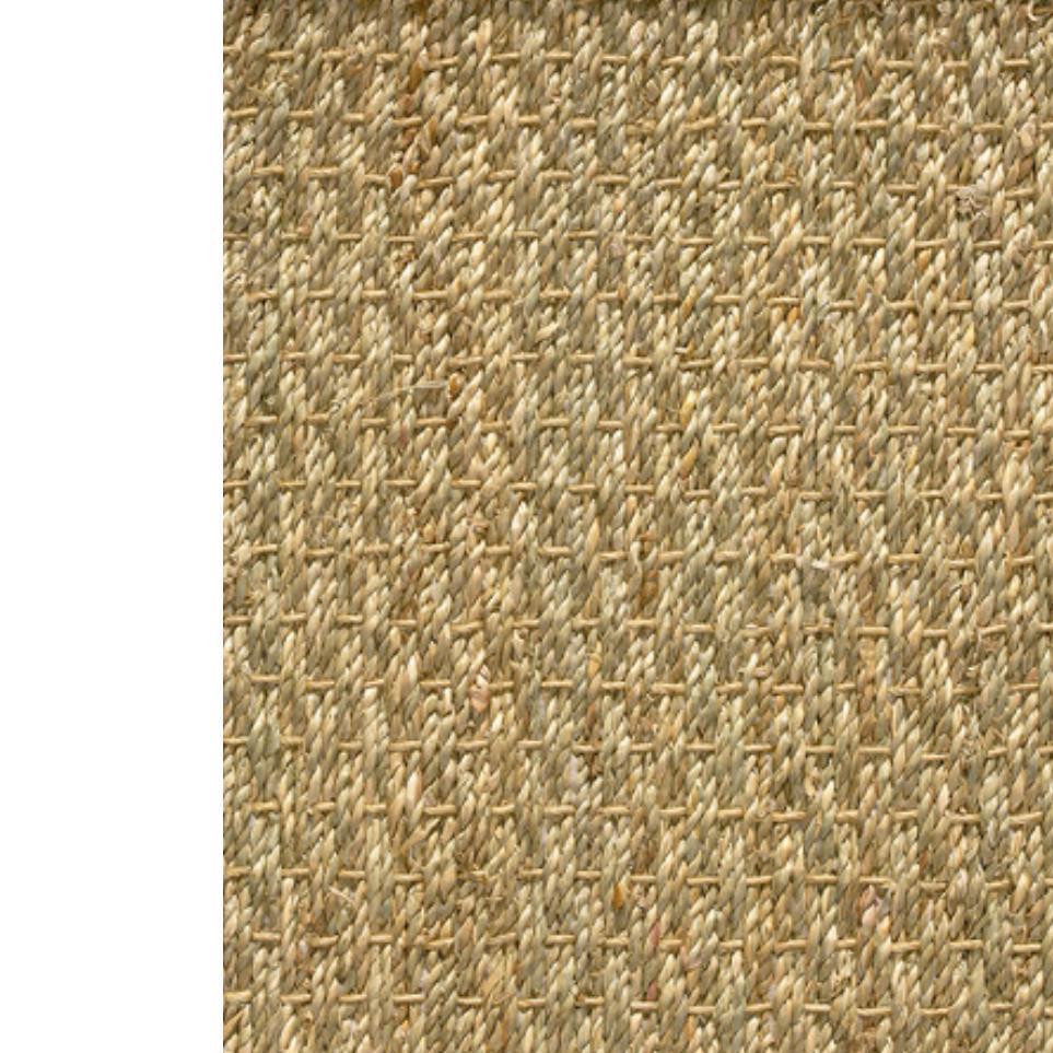 Pattern Natural Beige/Tan Carpet