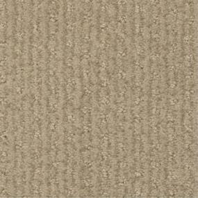 Pattern Cart Path Beige/Tan Carpet