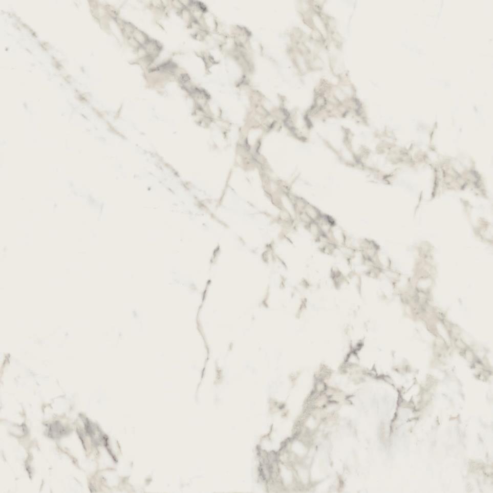 Tile Calacatta Polished White Tile
