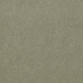 Cut Pile Celery Green Carpet