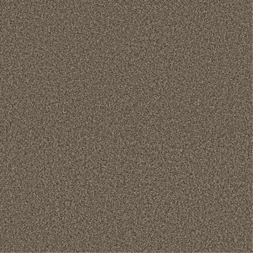 Plush Saxony Cottage Brown Carpet