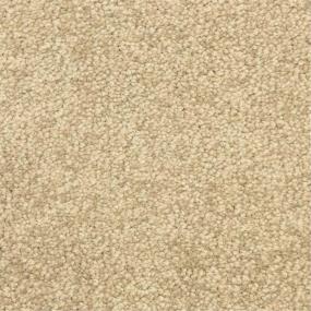 Casual Texture Sedgewick Beige/Tan Carpet