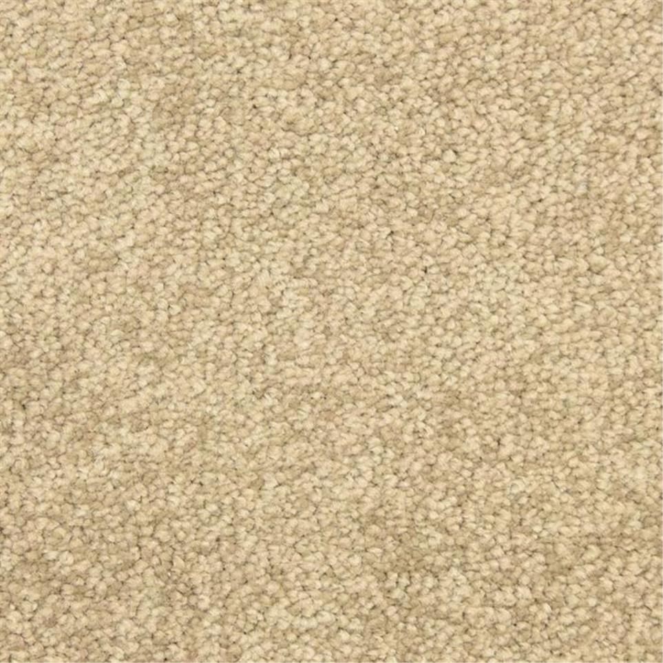 Casual Texture Sedgewick Beige/Tan Carpet