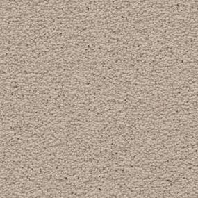 Textured Saxony Charm Beige/Tan Carpet