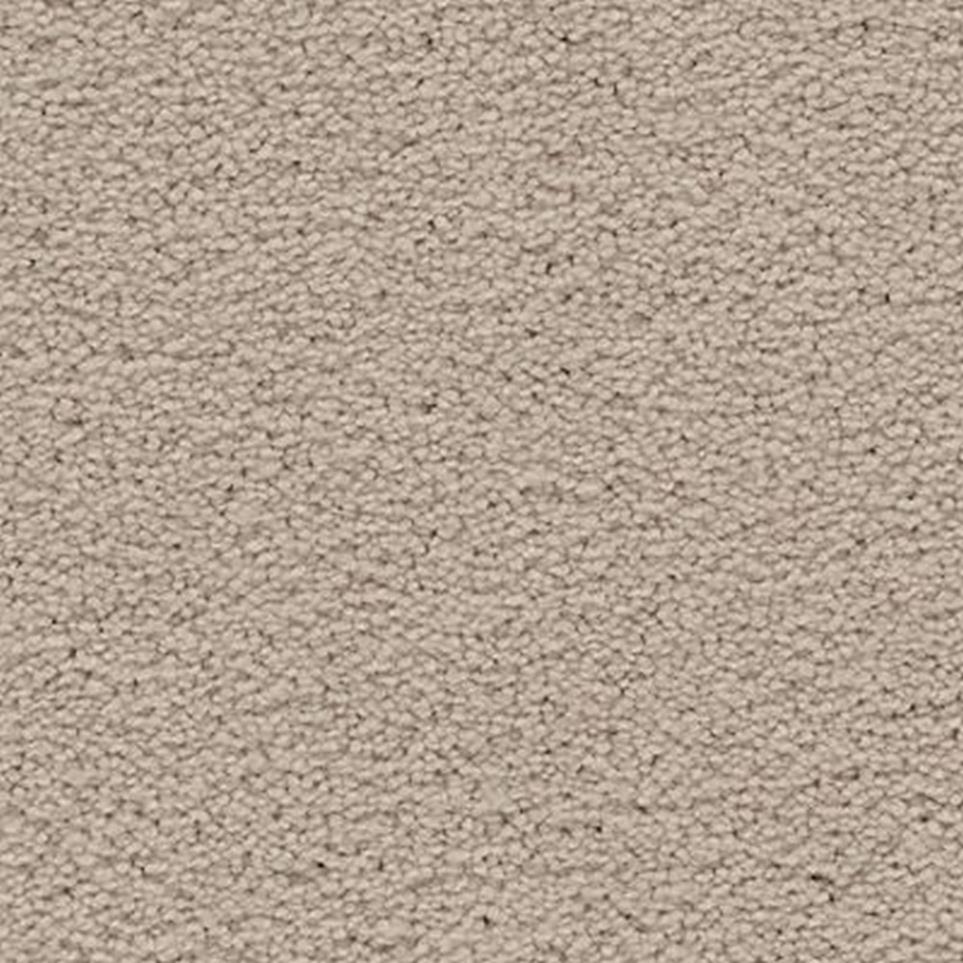 Textured Saxony Charm Beige/Tan Carpet