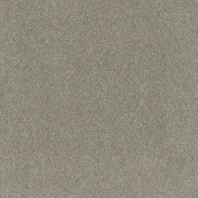 Textured Saxony Park Suite Gray Carpet