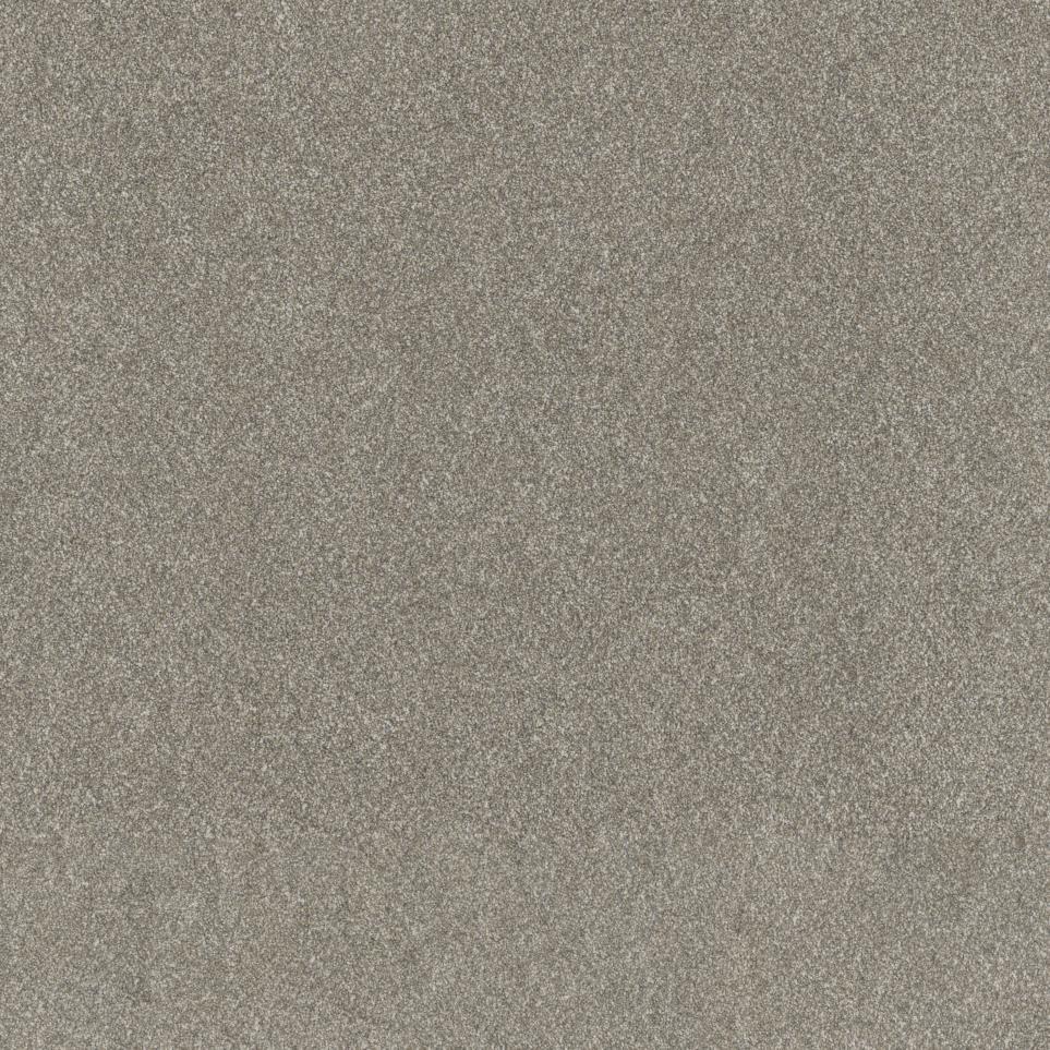 Textured Saxony Park Suite Gray Carpet