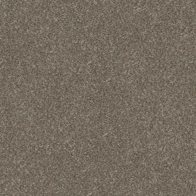 Texture Toffee Beige/Tan Carpet