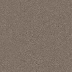 Casual Texture Cafe Beige/Tan Carpet