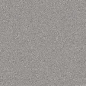 Textured Saxony Fort Hills Gray Carpet