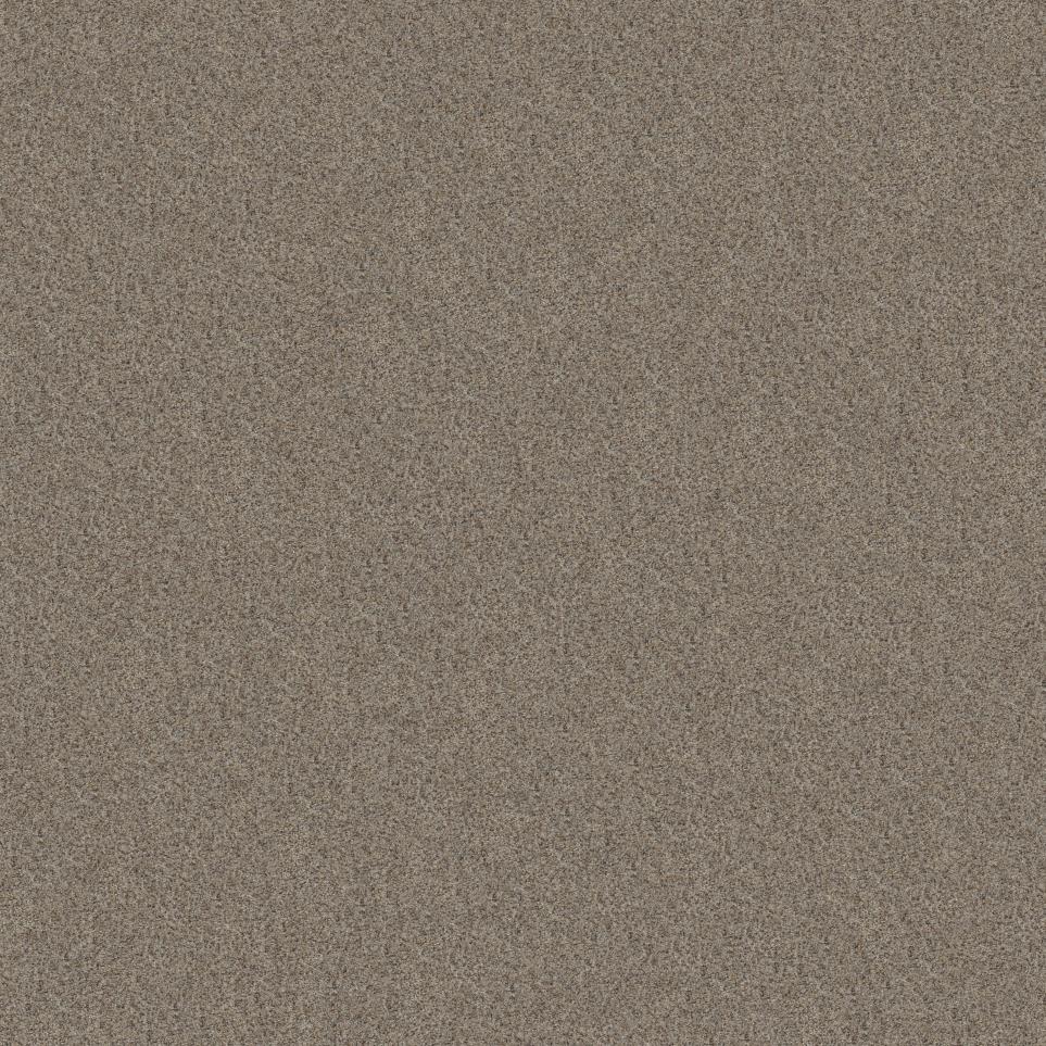 Texture Washed Pine Beige/Tan Carpet