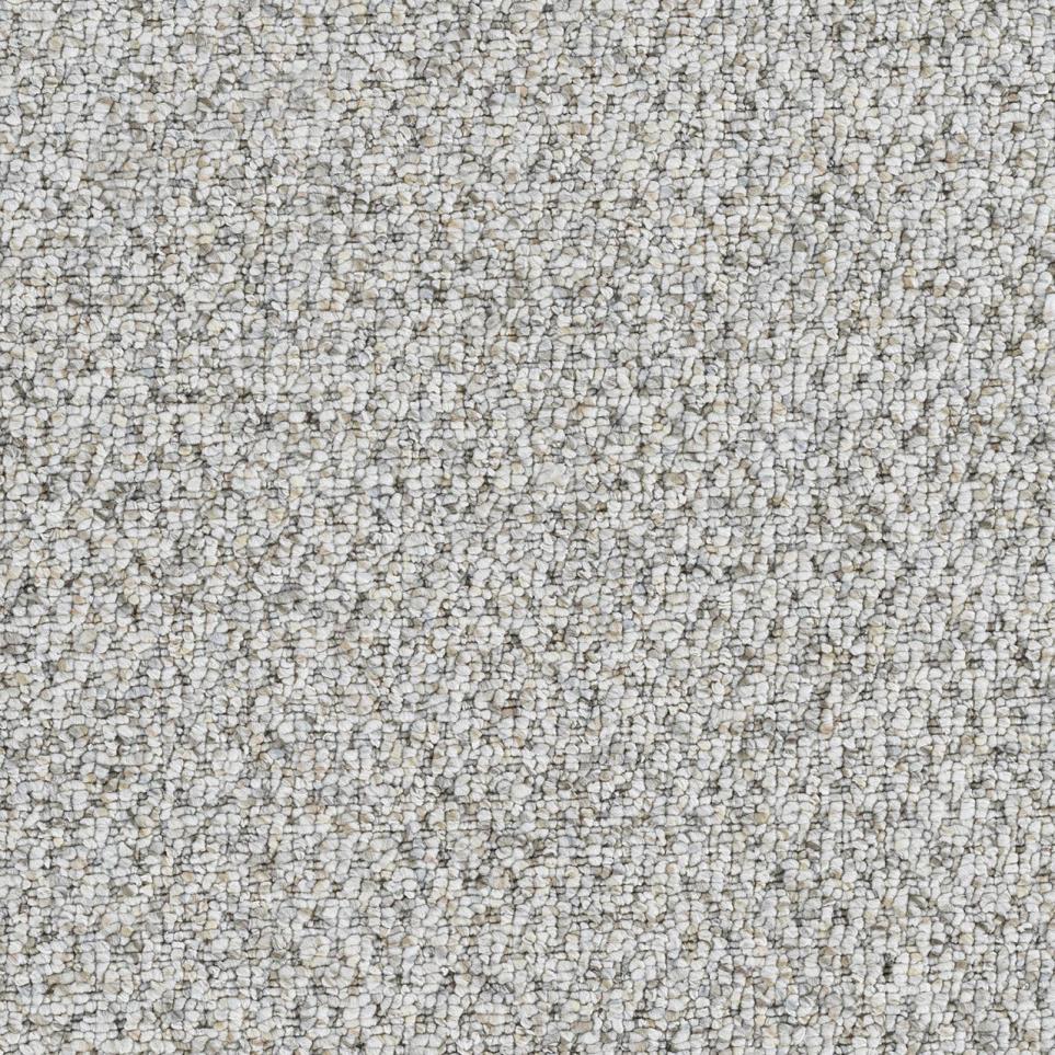 Berber Documented Gray Carpet