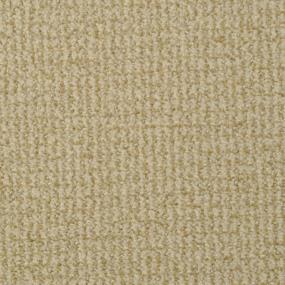 Pattern Curry Beige/Tan Carpet