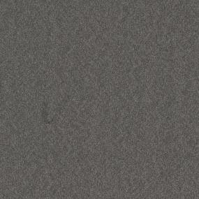 Casual Texture Bike Gray Carpet