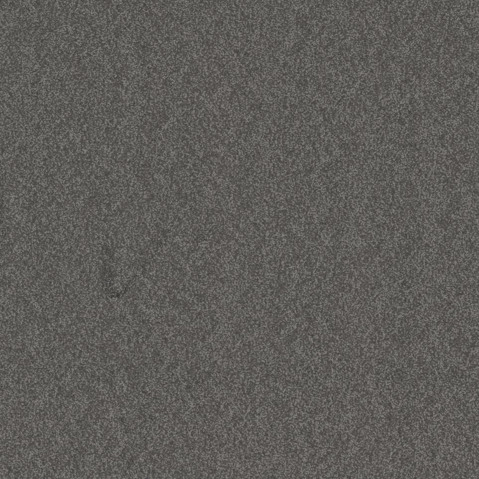 Casual Texture Bike Gray Carpet