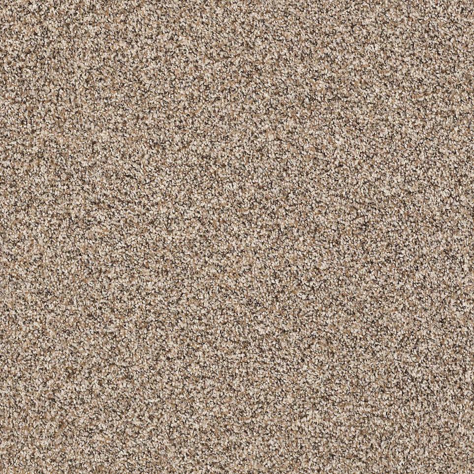Texture Forever Brown Carpet