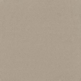 Textured Saxony Parchment Beige/Tan Carpet