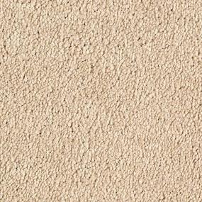 Textured Saxony Heirloom Beige/Tan Carpet