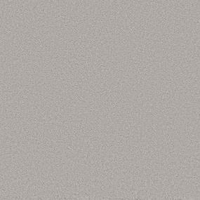 Texture Stainless Gray Carpet