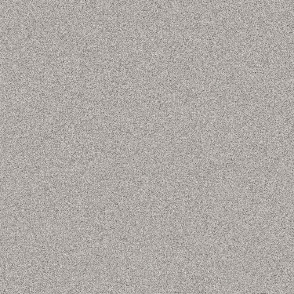 Texture Stainless Gray Carpet