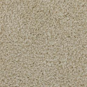 Pattern Sea Horse Beige/Tan Carpet