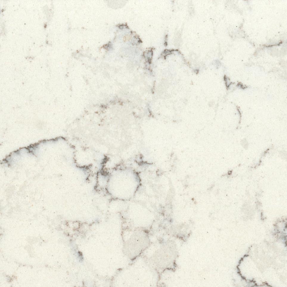 Slab Blanco Orion White Quartz Countertops