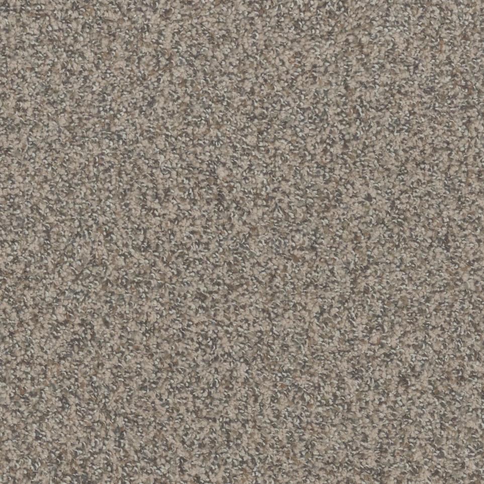 Textured Saxony Adirondack Beige/Tan Carpet