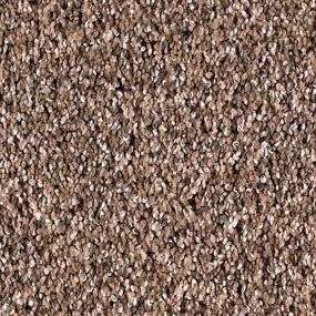 Berber Kindling Brown Carpet