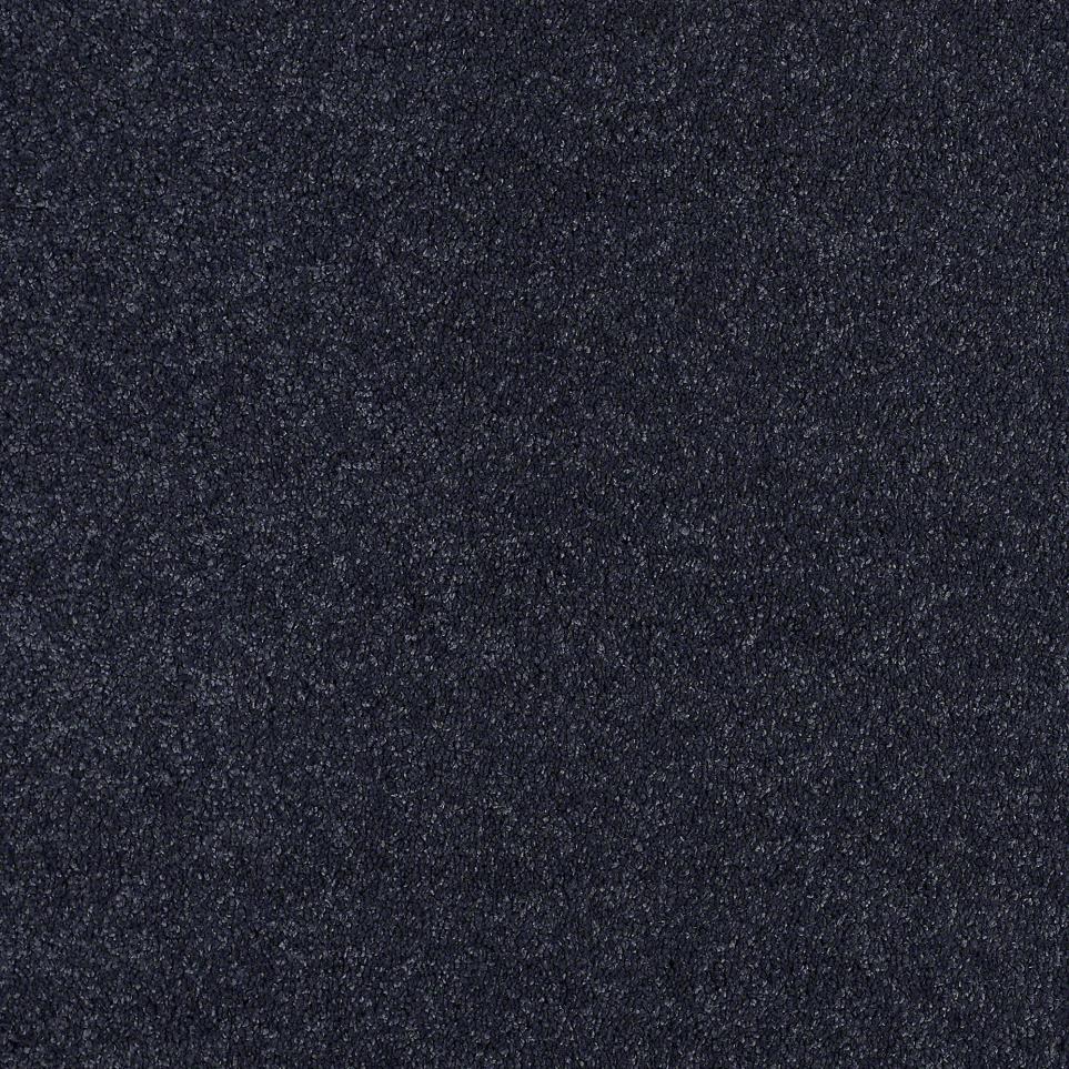Navy Purple Carpet