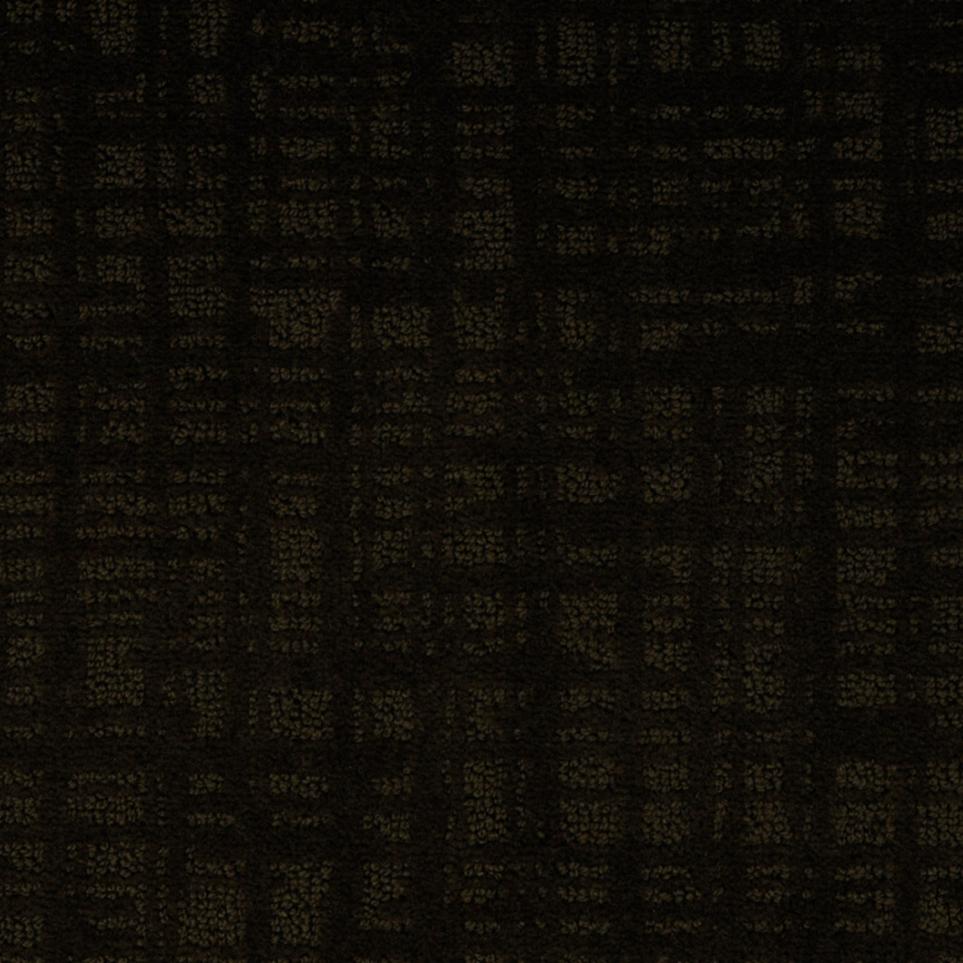 Pattern Walnut Brown Carpet