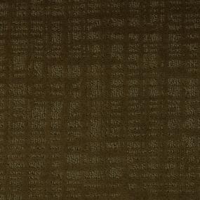 Pattern Umber Brown Carpet