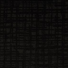 Pattern Arctic Seal Black Carpet