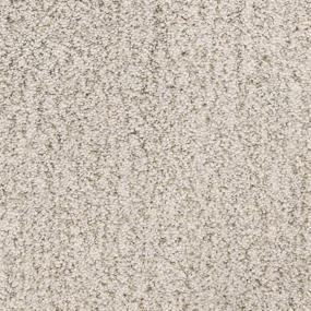 Texture Cannery Row Beige/Tan Carpet