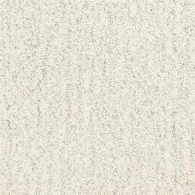 Texture Carmel Beige/Tan Carpet