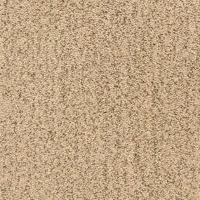 Texture Chaparral Beige/Tan Carpet